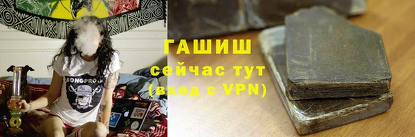 индика Алзамай