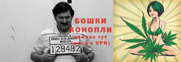 молекула духа Краснослободск