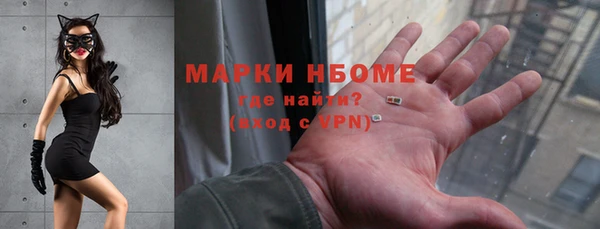 индика Алзамай