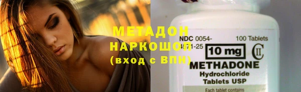индика Алзамай