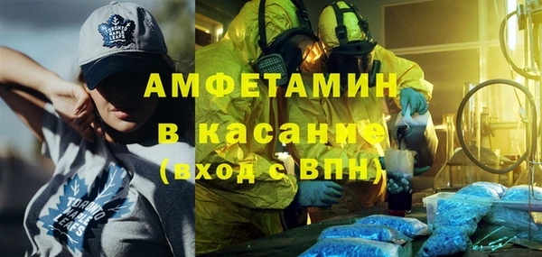 индика Алзамай
