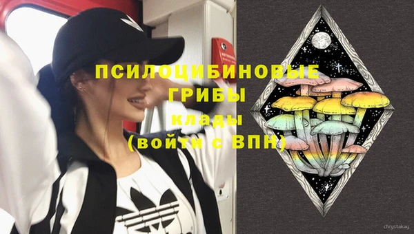 молекула духа Краснослободск