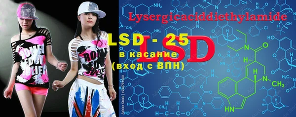 индика Алзамай