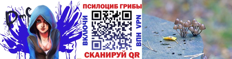 закладки  Муром  Псилоцибиновые грибы GOLDEN TEACHER 